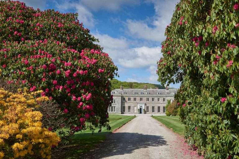Bocconoc Wedding Venue - Top Cornwall Wedding Venue
