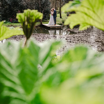 Couple around the beautiful green woodlands at Chycara, Cornwall - Average Wedding Photographer Cost