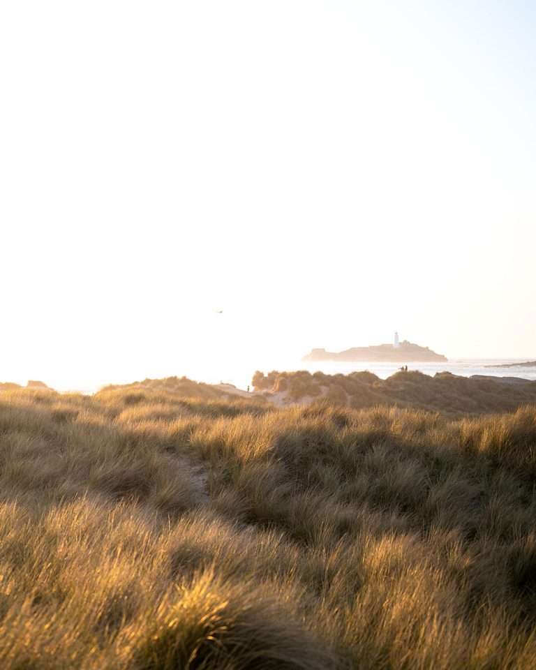 Godrevy Lighthouse in the golden sun - One of the best things to see in  Cornwall 