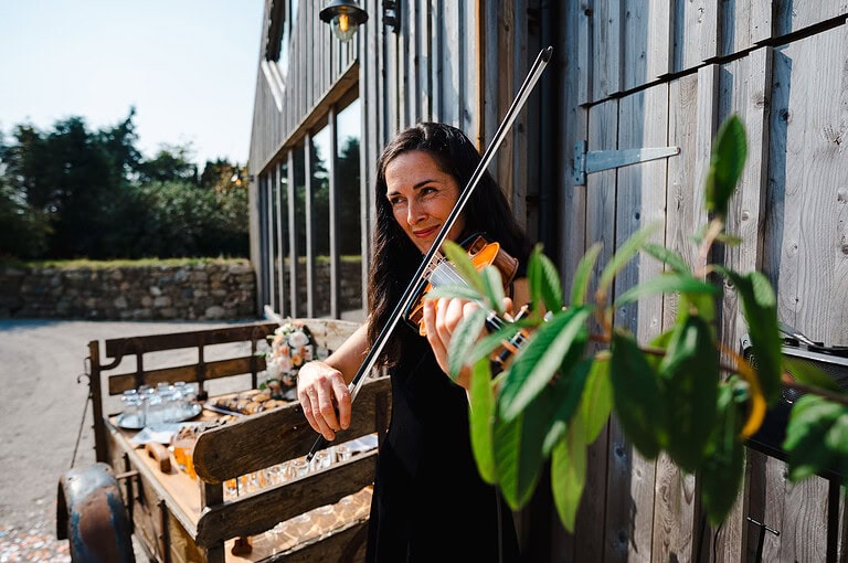Violinist performing at Avalen