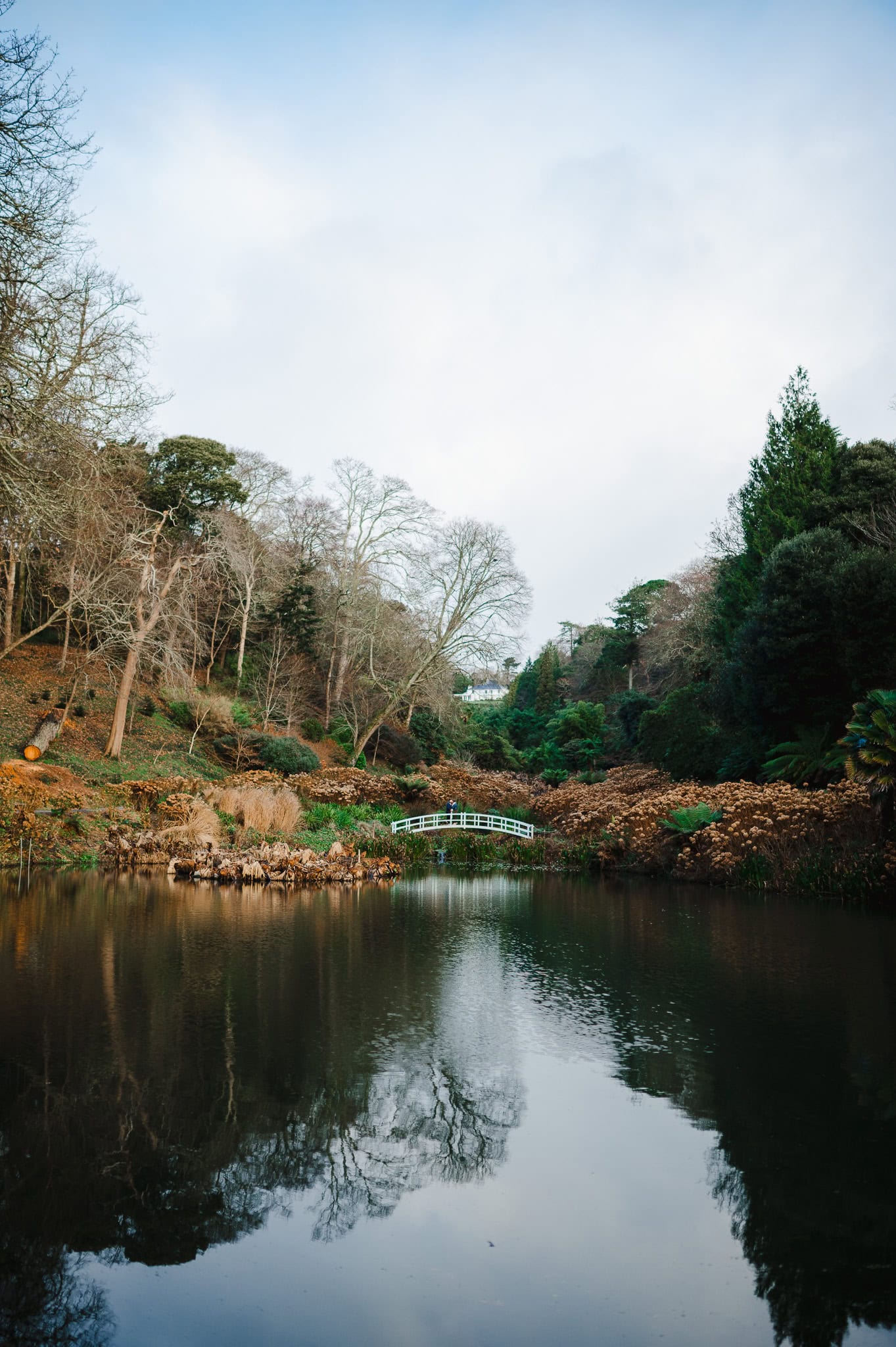Looking over to the white bridge at Trebah Gardens as the newly engaged couple stand and celebrate by Cornwall Engagement Photographer, Jake Timms Photography