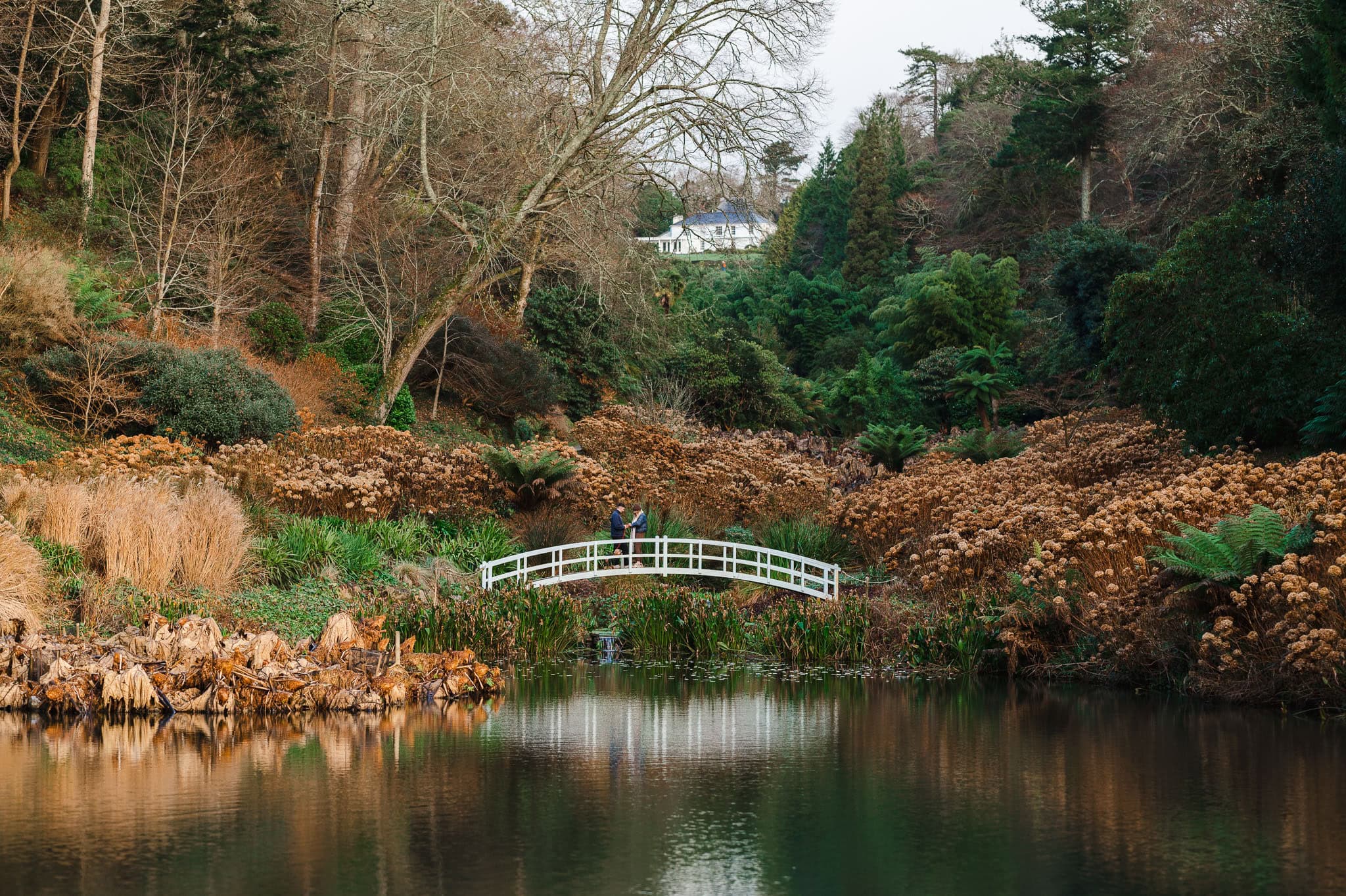 Trebah Gardens is host to 26 acres of beautiful gardens, making it a beautiful place to propose. From the white bridge in this photo to its private beach. By Falmouth Engagement Photographer, Jake Timms Photography