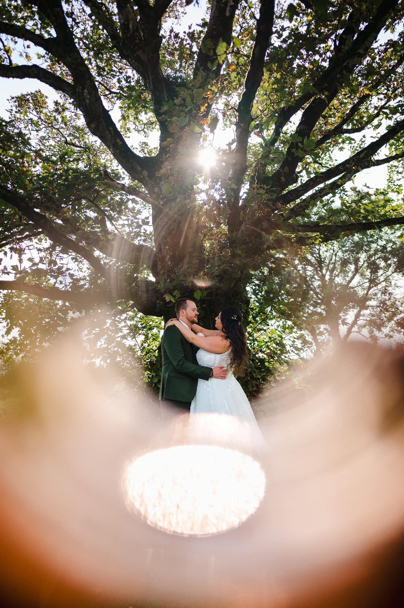 Newlyweds stand by tree as they are surrounded by a golden glow by Exeter wedding photographer Jake Timms Photography