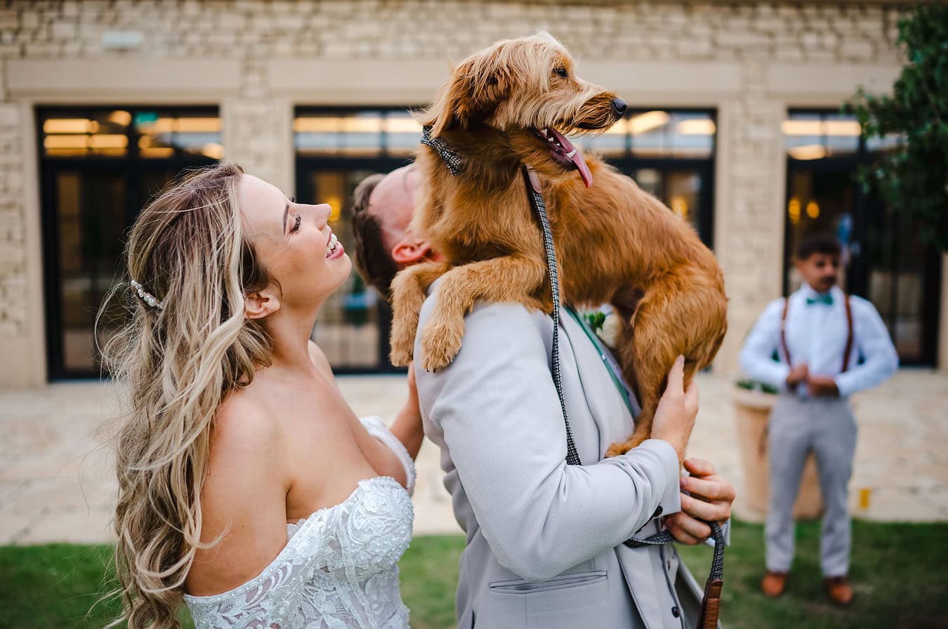 The dog enjoys a perch on the grooms shoulders as the bride looks up towards him