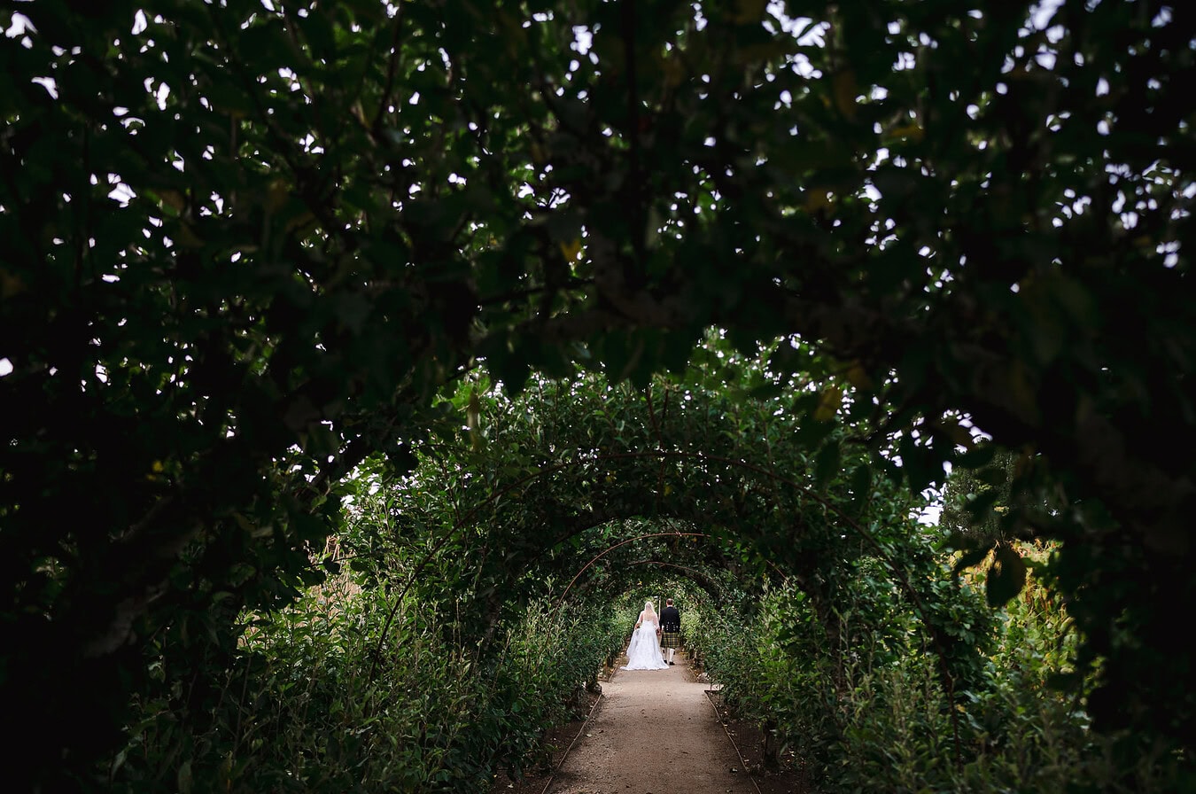 Walking off into the distance underneath the canopy