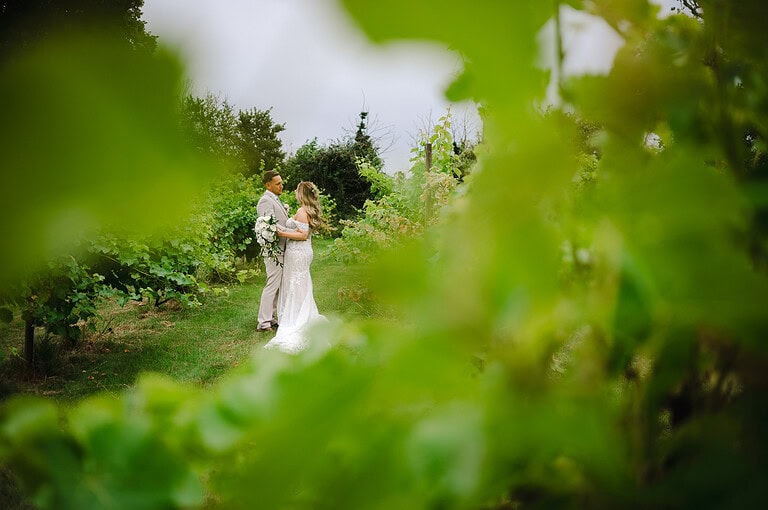 Looking through the vineyards during the beautiful wedding couple portraits at The Pear Tree Purton by Jake Timms Photography